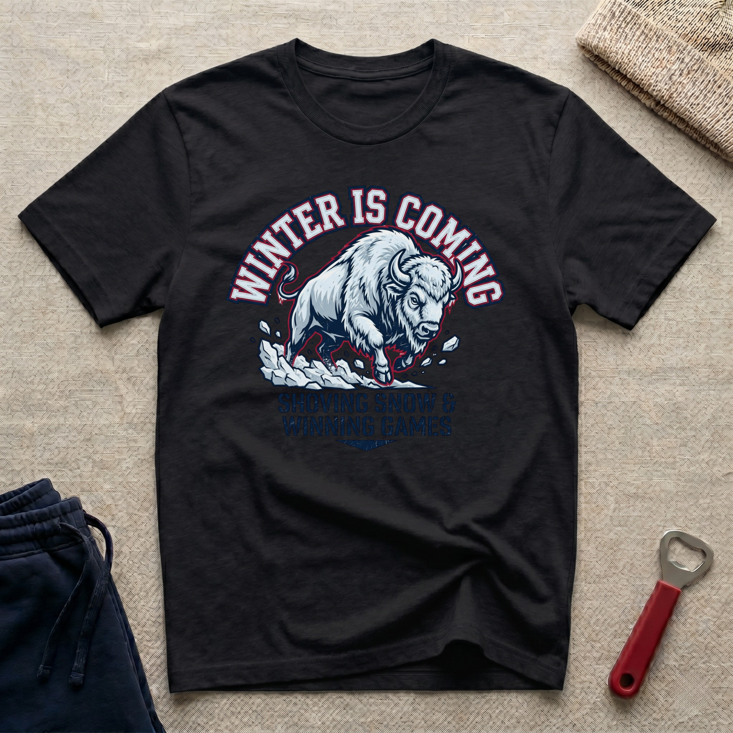 Winter is Coming T-Shirt